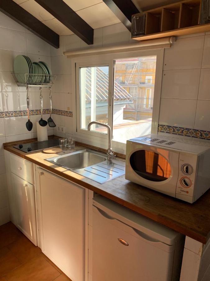 Stunning Attic With Private Terrace And Parking Optional Apartment เซบีญา ภายนอก รูปภาพ